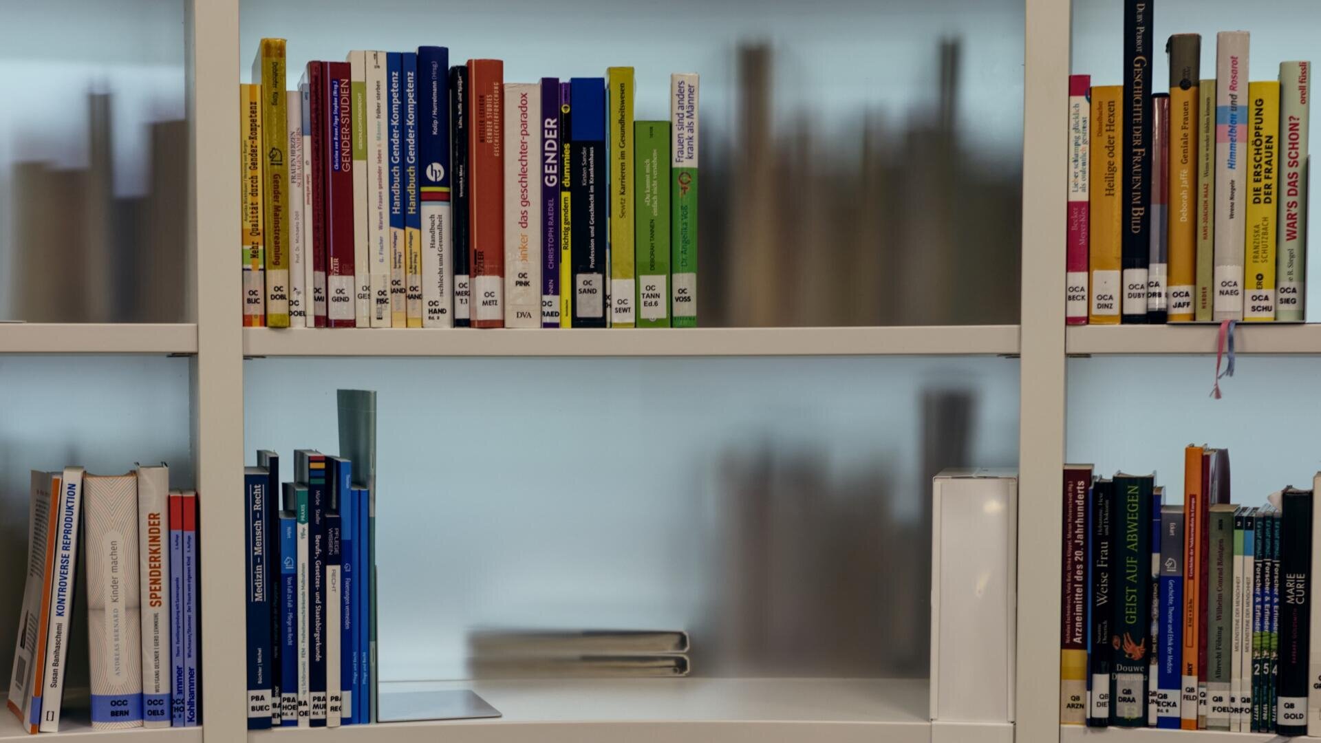 Ein Bücherregal mit bunten Büchern, die in Reihen angeordnet sind; die meisten stehen aufrecht, einige wenige liegen flach auf dem mittleren Regalbrett. Der Hintergrund besteht aus verschwommenem Glas.