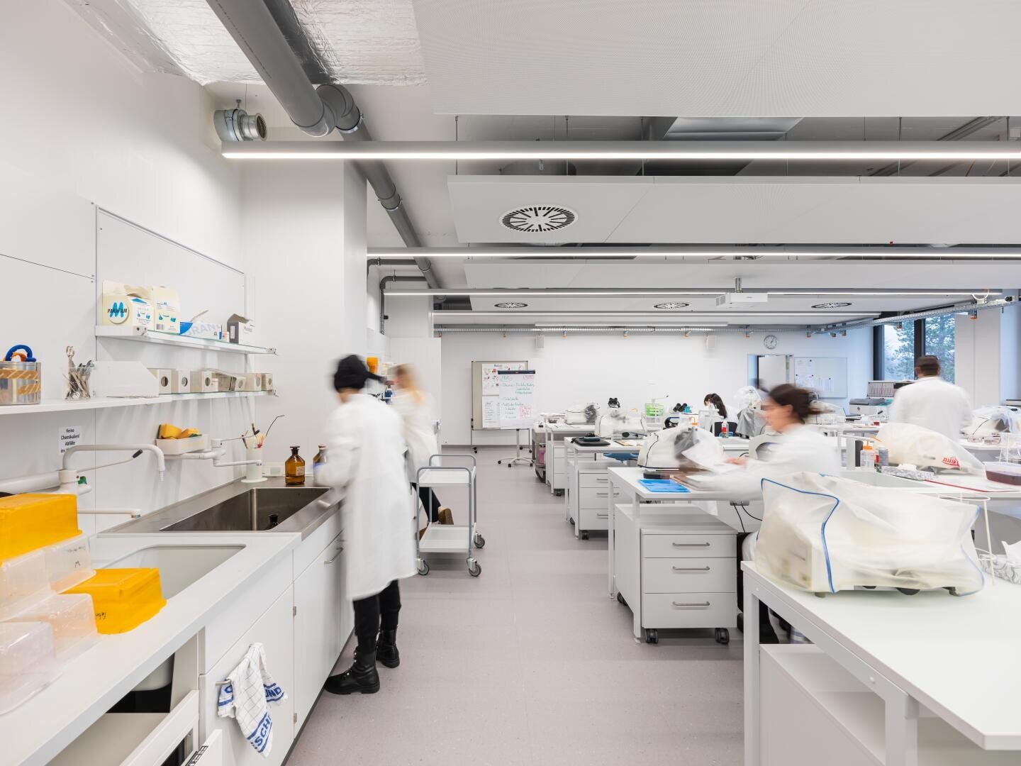 Ein helles, modernes Labor, in dem mehrere Personen in weißen Laborkitteln an den Labortischen arbeiten, umgeben von wissenschaftlichen Geräten, Regalen und Verbrauchsmaterialien. Der Raum wirkt sauber und aufgeräumt, im Hintergrund ist ein großes Fenster zu sehen.
