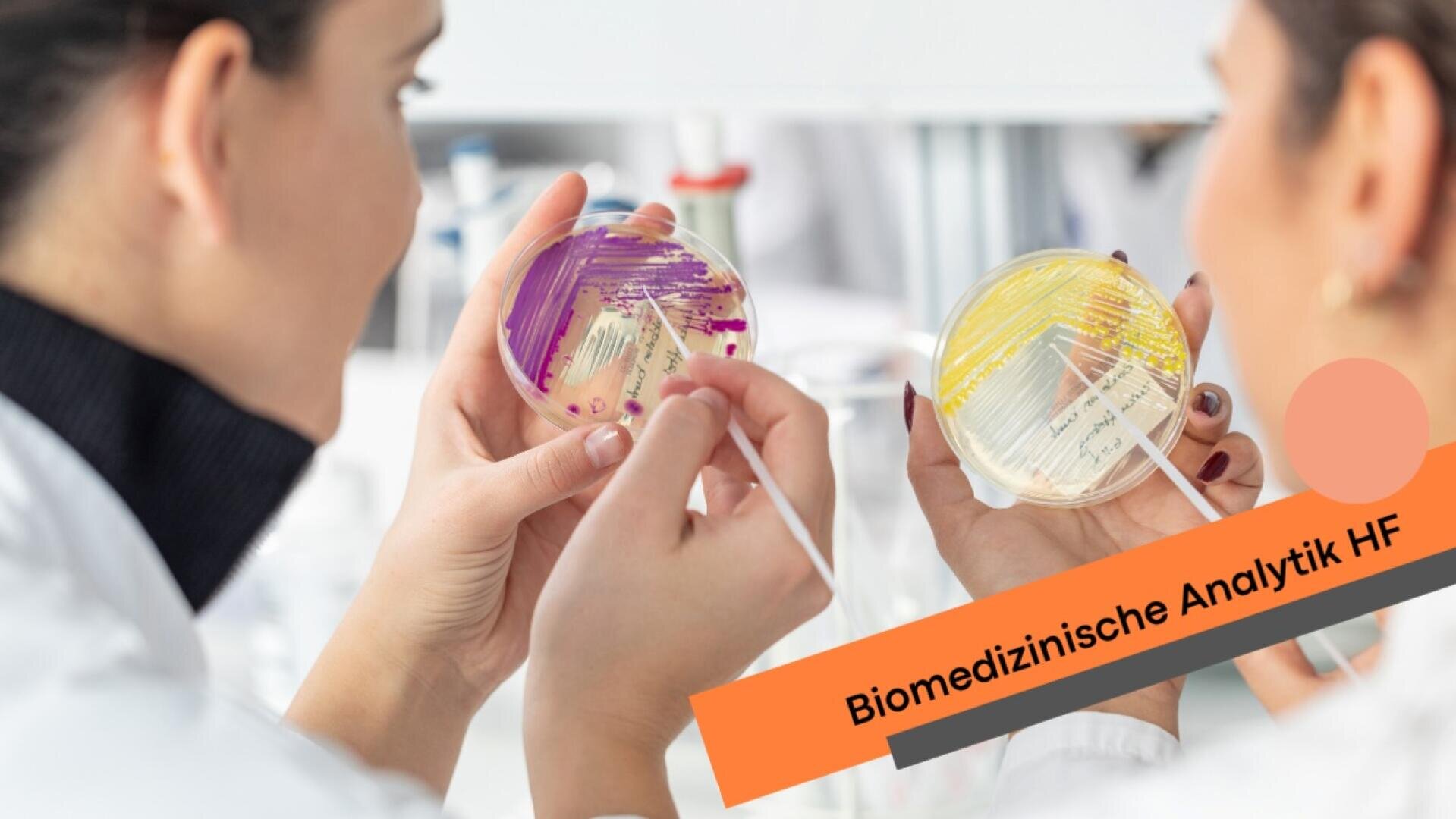 Zwei Personen in Laborkitteln untersuchen Petrischalen mit Bakterienkulturen. Auf einem orangefarbenen Banner ist der Text Biomedizinische Analytik HF zu lesen.