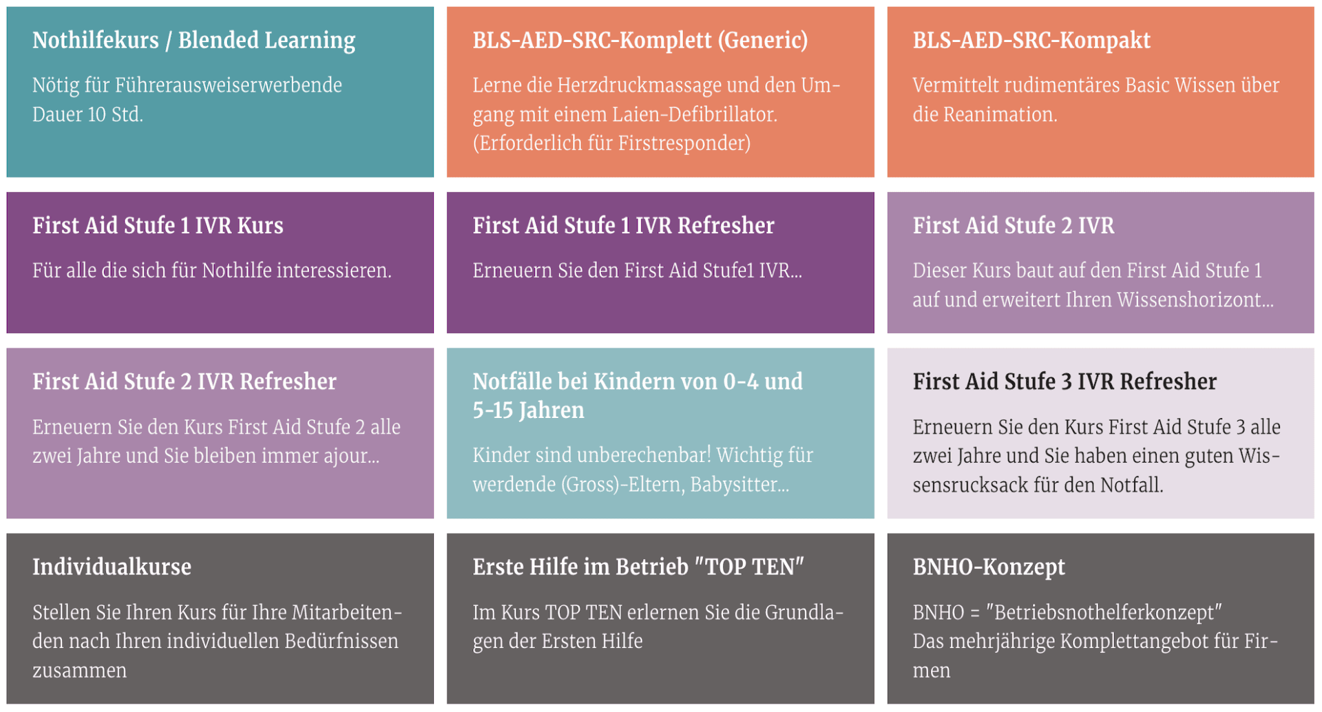 Eine Tabelle mit zwölf farbigen Feldern, die jeweils ein anderes Angebot im Bereich Erste Hilfe oder Notfallmaßnahmen beschreiben, darunter Blended-Learning-Kurse, AED-Kurse, Erste-Hilfe-Auffrischungskurse und maßgeschneiderte Konzepte.
