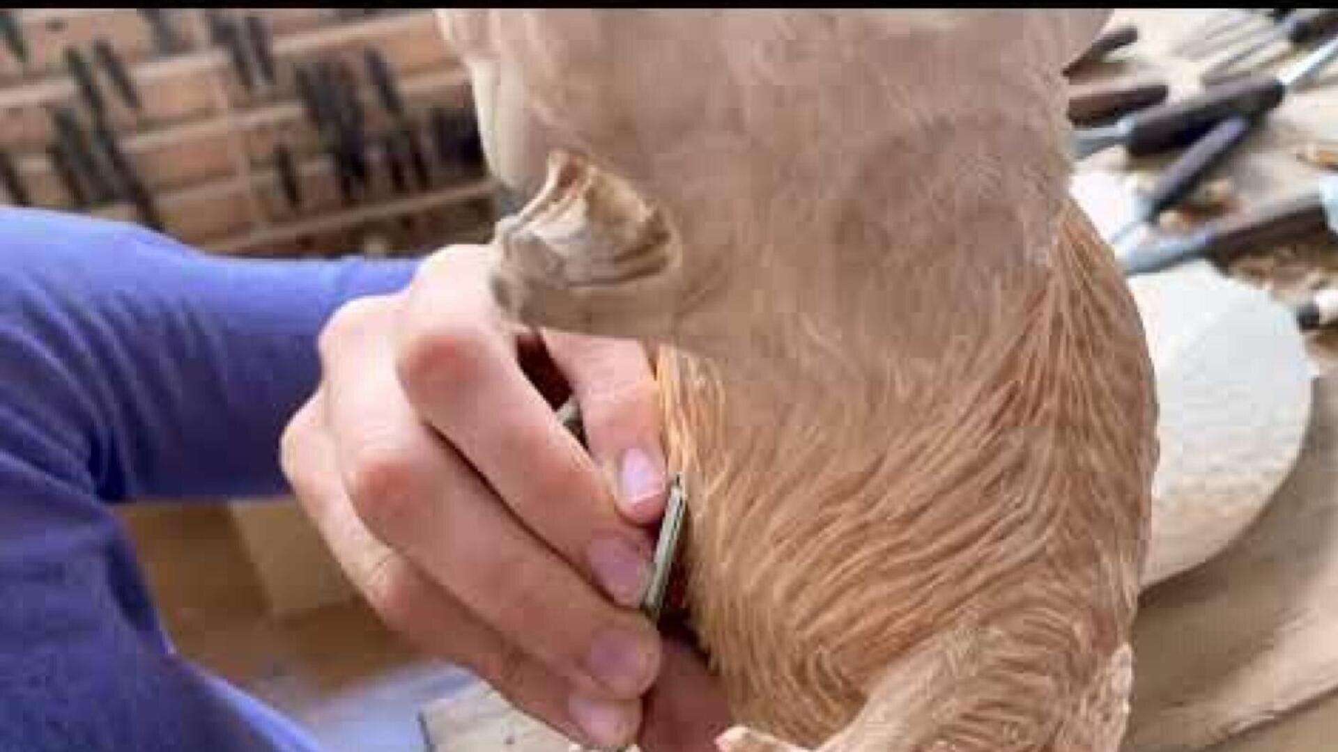 Eine Person benutzt ein Schnitzwerkzeug, um die Felldetails einer hölzernen Tierskulptur, möglicherweise ein Bär, in einer Werkstatt zu formen.